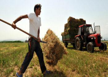 Γερμανία: Αγρότης λιποθύμησε από αναθυμιάσεις κοπριάς