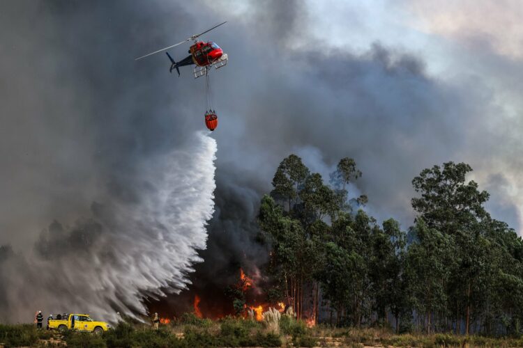 Πορτογαλία: Υπό έλεγχο όλα τα μέτωπα φωτιάς