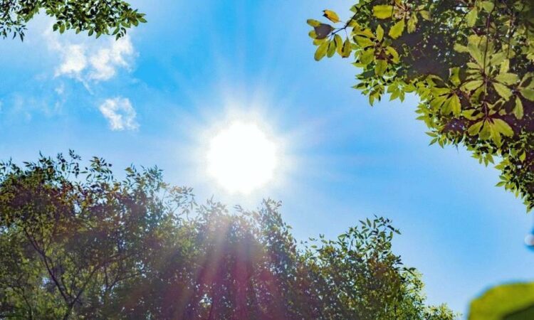 Καιρός: Ηλιοφάνεια σε όλη τη χώρα