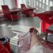 Θεσσαλονίκη: Εθελοντική αιμοδοσία στο ΑΠΘ