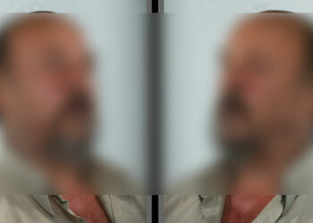 Δημοσιοποίηση στοιχείων