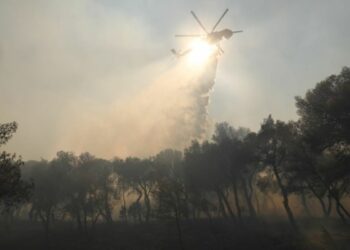 Σε επτά νομούς εξαπλώνονται οι δασικές πυρκαγιές στην Κολομβία