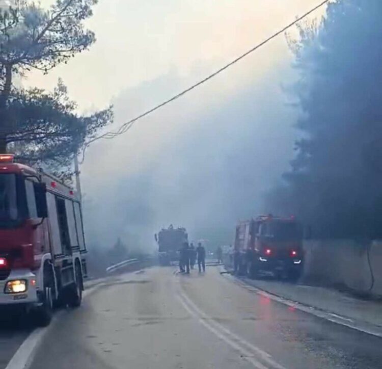 Υπό μερικό έλεγχο η πυρκαγιά στην Ξάνθη