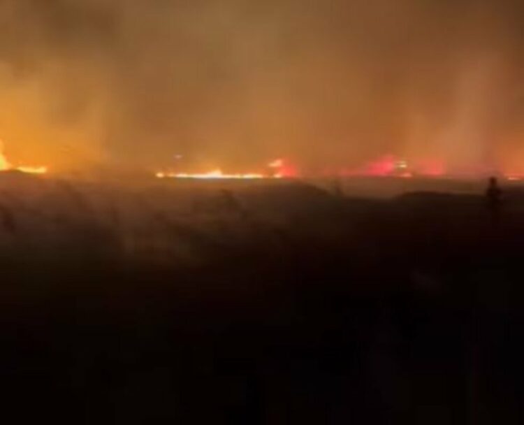 Φωτιά ΤΩΡΑ στη Σάμο – Δείτε Video