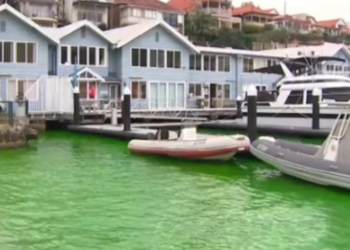 Σίδνεϊ: Πρασίνισαν τα νερά σε λιμάνι έπειτα από διαρροή χρωστικών (video)