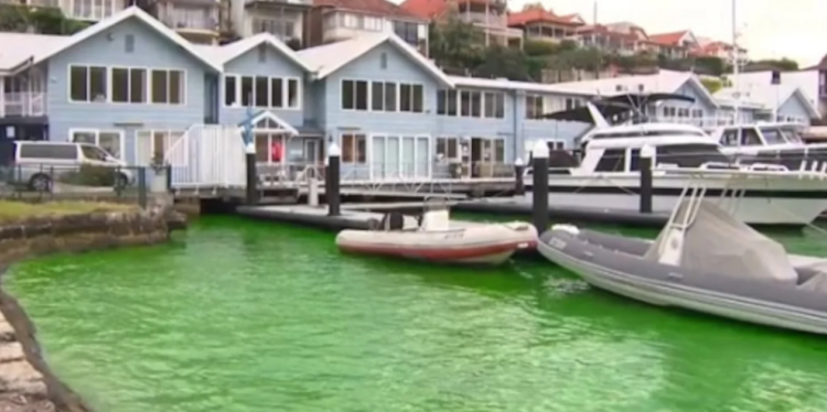 Σίδνεϊ: Πρασίνισαν τα νερά σε λιμάνι έπειτα από διαρροή χρωστικών (video)