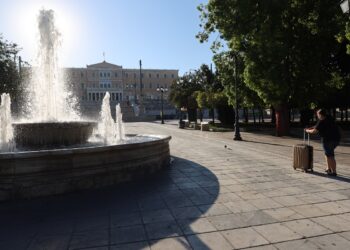 Δήμος Αθηναίων: Έχουμε ήδη λάβει μέτρα για τα τρωκτικά που κατακλύζουν το κέντρο