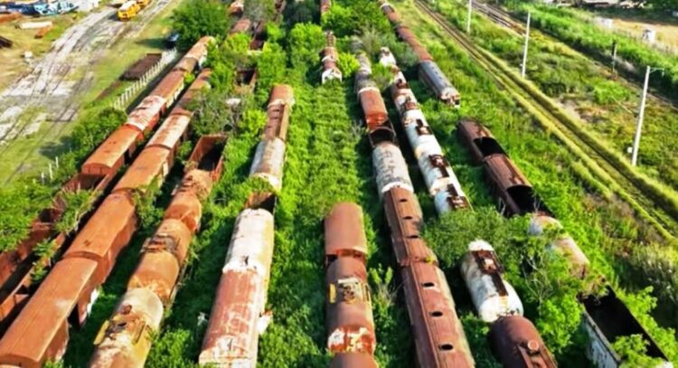 Οι κρυφές ιστορίες των 2.000 εγκαταλελειμμένων βαγονιών της Θεσσαλονίκης