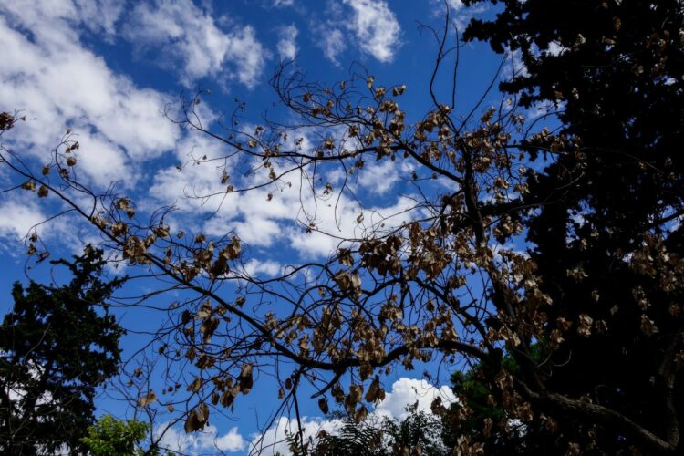 Καιρός: Παρατείνεται το καλοκαιρινό σκηνικό – Νέα άνοδος της θερμοκρασίας που θα φτάσει τους 32 βαθμούς Κελσίου