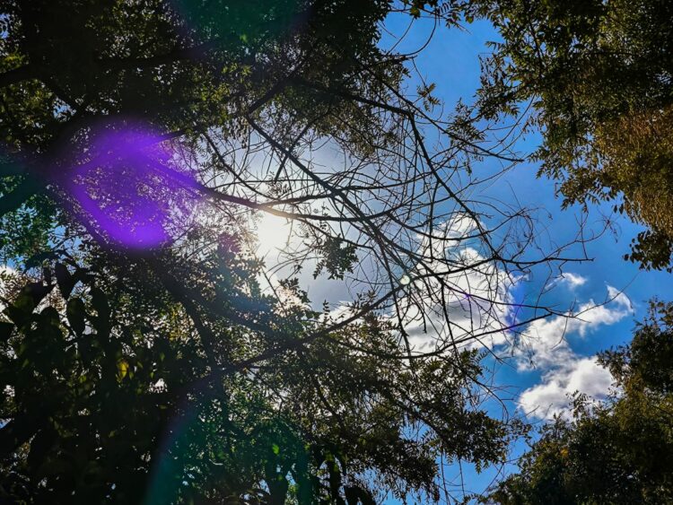 Καιρός: Με ηλιοφάνεια και μικρή άνοδο της θερμοκρασίας ξεκινά η εβδομάδα