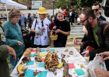Σοκαριστικά βίντεο από την απόπειρα δολοφονίας κατά του πρώην προέδρου της Βολιβίας (video, photo)