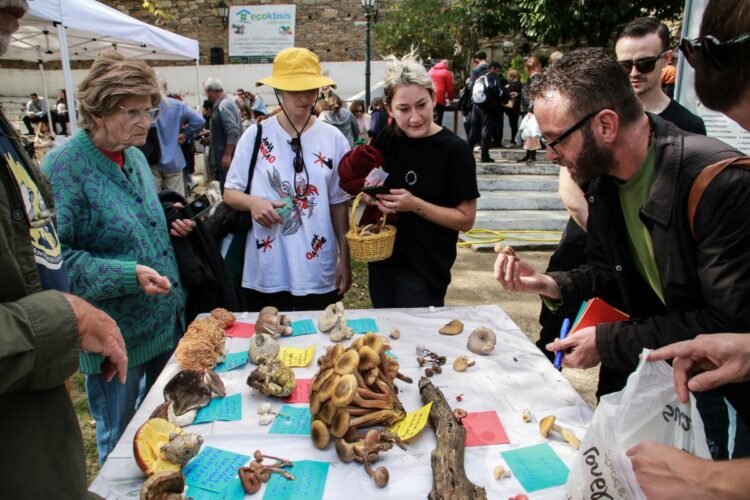 Σοκαριστικά βίντεο από την απόπειρα δολοφονίας κατά του πρώην προέδρου της Βολιβίας (video, photo)