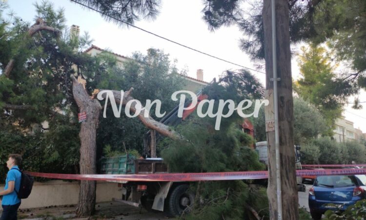 Χαλάνδρι: Ξήλωσαν ΑΤΜ από σούπερ μάρκετ – Μετά από καταδίωξη των αστυνομικών το φορτηγό καρφώθηκε σε δέντρο