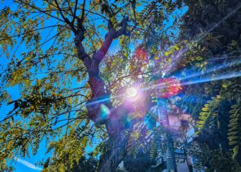 Καιρός: Με 25άρια μας αποχαιρετά ο Οκτώβριος – Δείτε την πρόγνωση του καιρού ανά περιοχή