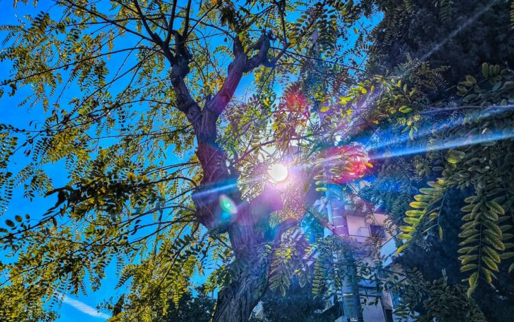 Καιρός: Με 25άρια μας αποχαιρετά ο Οκτώβριος – Δείτε την πρόγνωση του καιρού ανά περιοχή