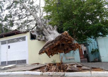 Βραζιλία: Τουλάχιστον 8 νεκροί λόγω έντονων βροχοπτώσεων