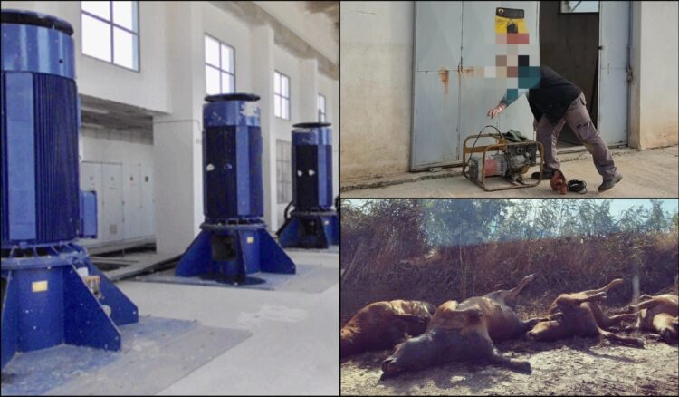 Πλημμύρες Θεσσαλία