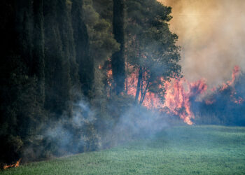 πυρκαγιά Πυροσβεστική