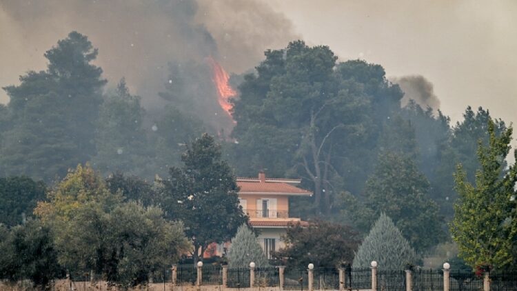 Κοντά σε σπίτια η πυρκαγιά στην Ηλεία: Δύσκολη μάχη με τριπλό μέτωπο – «Κίνδυνος για κατοικημένες περιοχές»