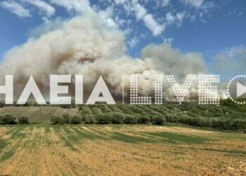 Φωτιά τώρα στην Αμαλιάδα κοντά σε οικισμούς – Μήνυμα του 112 για εκκένωση – Δείτε βίντεο