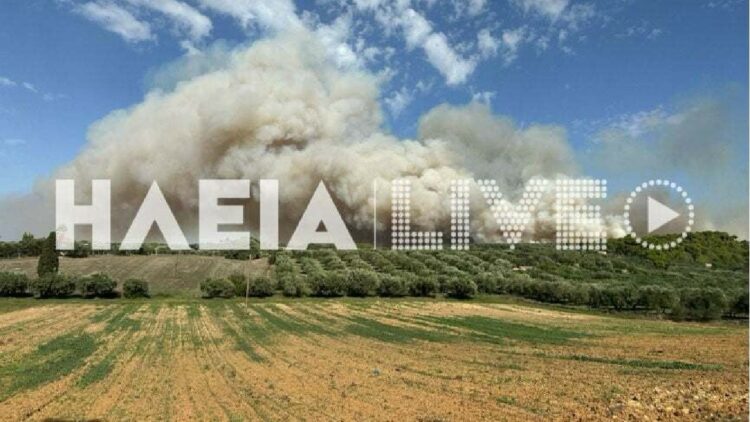 Φωτιά τώρα στην Αμαλιάδα κοντά σε οικισμούς – Μήνυμα του 112 για εκκένωση – Δείτε βίντεο