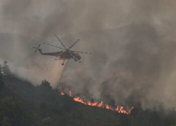 Φωτιά τώρα στην Λακωνία – Επιχειρούν και εναέρια μέσα