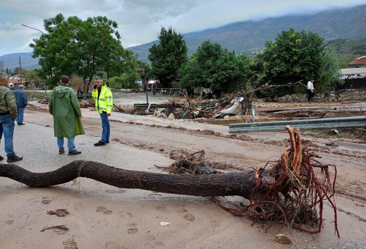 Κακοκαιρία Cassandra: Νεκρός εντοπίστηκε ο 52χρονος που αγνοούνταν – Παρασύρθηκε από χείμμαρο