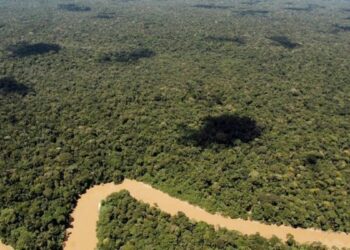 Κολομβία: Πάνω από 360 υπερασπιστές του περιβάλλοντος δολοφονήθηκαν τα τελευταία έξι χρόνια