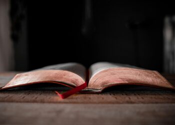 Παράταση υποβολής αιτήσεων συμμετοχής στο Μεταλυκειακό Έτος