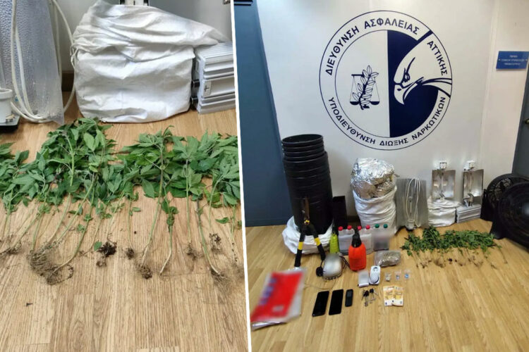 Εργαστήριο κάνναβης