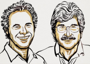 Σε δύο Αμερικανούς βιολόγους το Νόμπελ Ιατρικής 2024 – Η ανακάλυψη που τους χάρισε το βραβείο