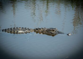 τυφώνας Μίλτον