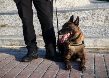 Θεσσαλονίκη