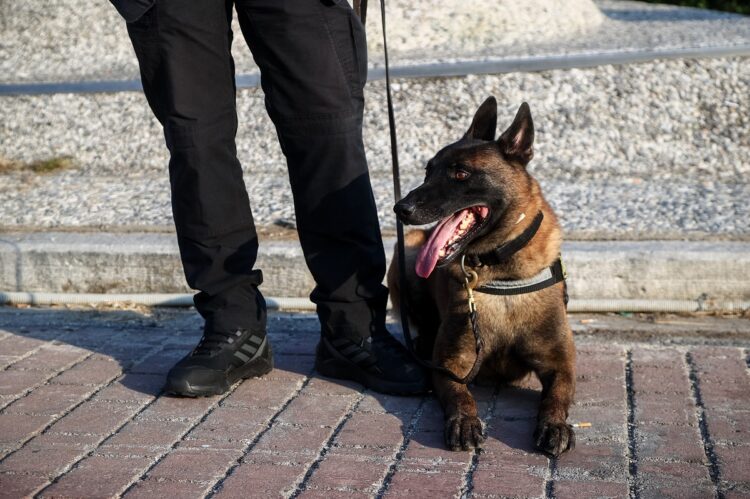 Θεσσαλονίκη