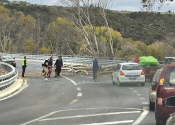 Τέμπη: Κατέρρευσε δέντρο στο οδόστρωμα της παλαιάς εθνικής οδού
