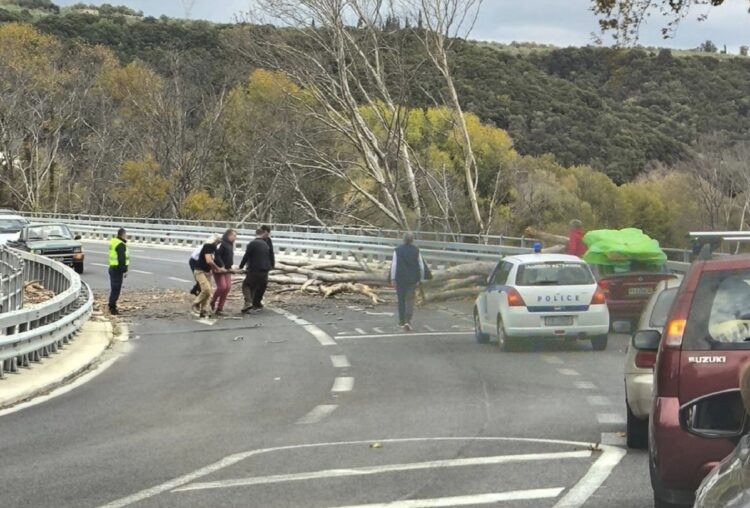 Τέμπη: Κατέρρευσε δέντρο στο οδόστρωμα της παλαιάς εθνικής οδού