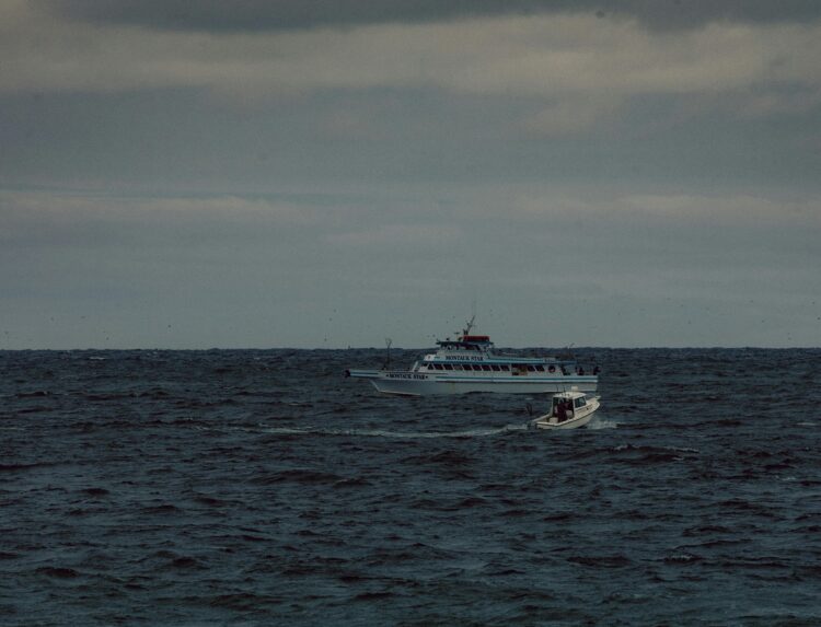 Ηράκλειο: Σε εξέλιξη η μεταφορά 35 μεταναστών στους Καλούς Λιμένες