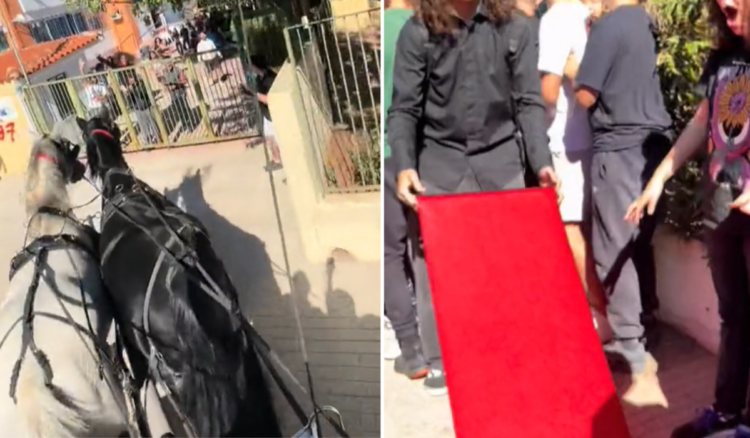 Μαθητής Βούλα