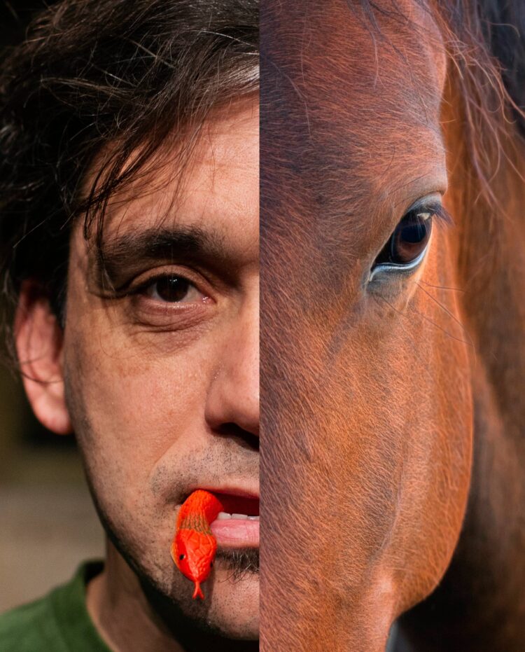 Δαγκώνει; Μία παράσταση για ενήλικες με θέμα τα ζώα