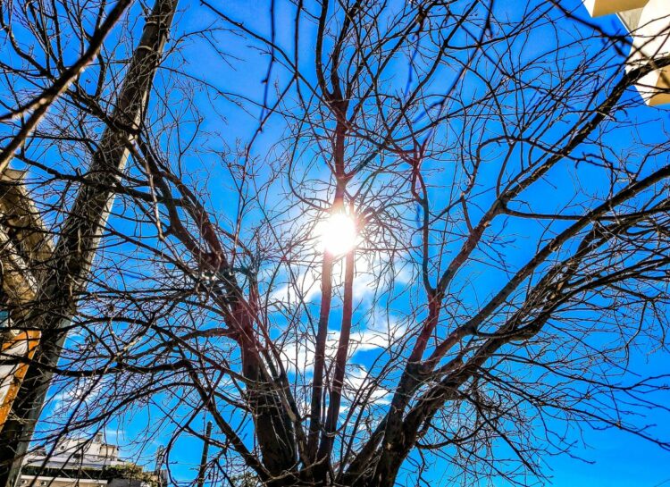 Καιρός: Ηλιοφάνεια το Σάββατο – Έρχονται βροχές τη νέα εβδομάδα