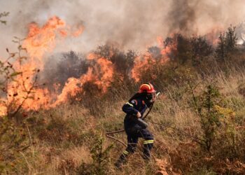 Λαγκαδάς Θεσσαλονίκης: Πυροσβέστης πέθανε κατά τη διάρκεια κατάσβεσης φωτιάς