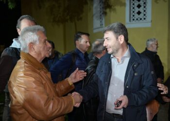 Nίκος Ανδρουλάκης