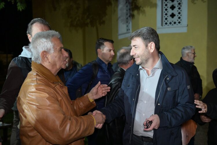 Nίκος Ανδρουλάκης