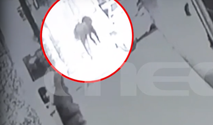 Δολοφονία Κυψέλη