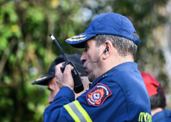 Φαράγγι του Βίκου