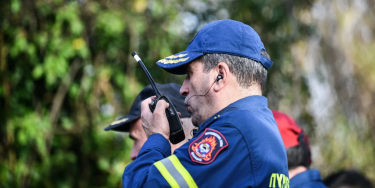 Φαράγγι του Βίκου