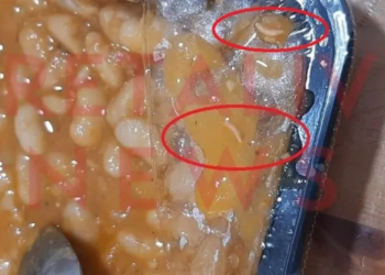 Σκουλήκια σε σχολικό γεύμα