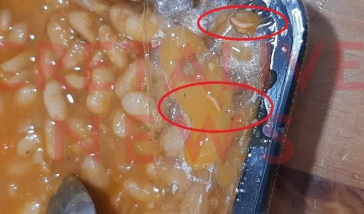 Σκουλήκια σε σχολικό γεύμα