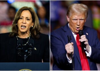 Εκλογές ΗΠΑ