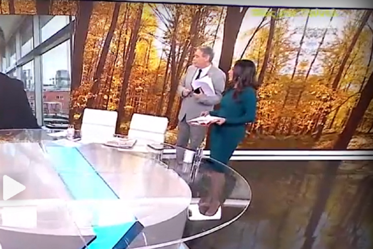 Ανθή Βούλγαρη έγκυος